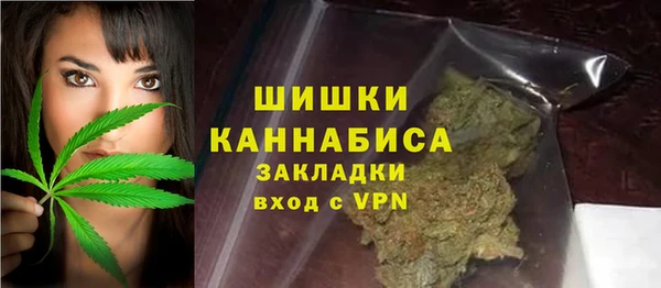 стаф Вязники